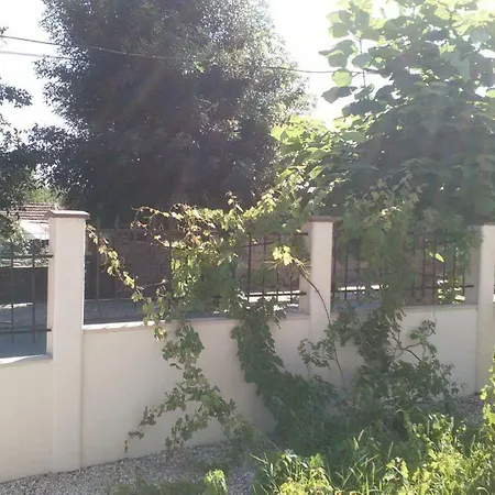 & Garden